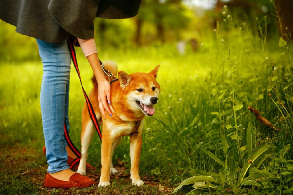 A woman is holding the leash of her dog.