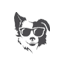 ic A dog wearing sunglasses and a collar.