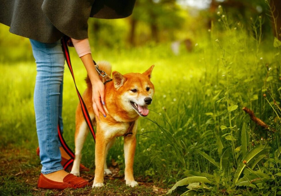 A woman is holding the leash of her dog.
